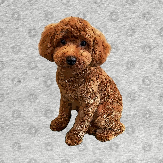 Mini Poodle Golden Doodle by ElegantCat